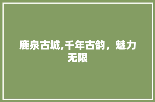 鹿泉古城,千年古韵，魅力无限