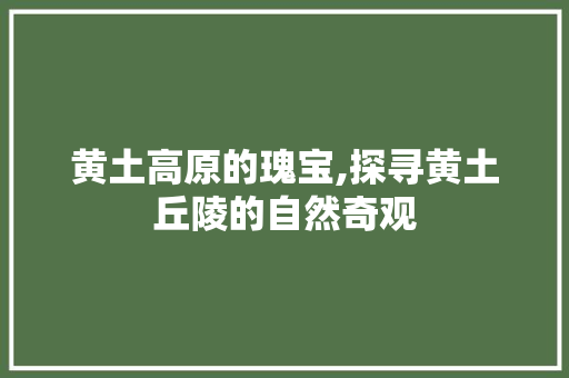 黄土高原的瑰宝,探寻黄土丘陵的自然奇观