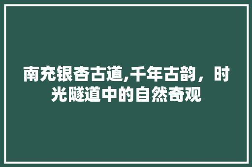 南充银杏古道,千年古韵，时光隧道中的自然奇观