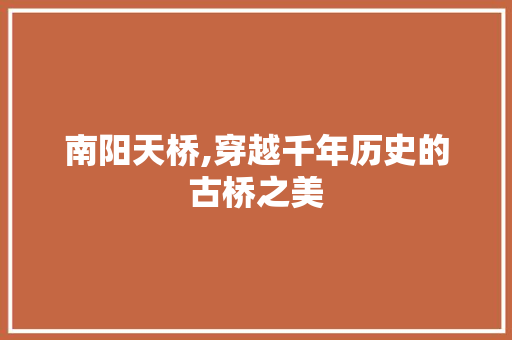南阳天桥,穿越千年历史的古桥之美