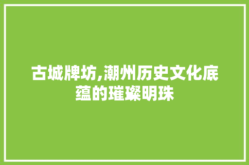 古城牌坊,潮州历史文化底蕴的璀璨明珠