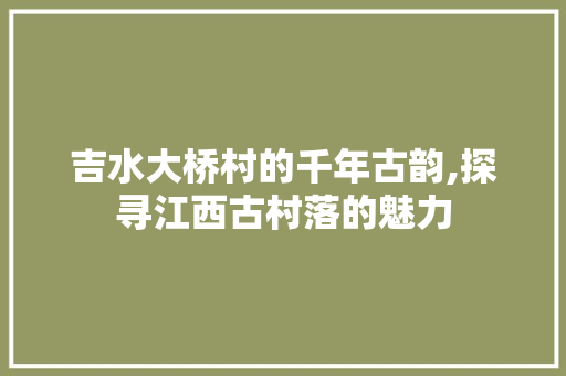 吉水大桥村的千年古韵,探寻江西古村落的魅力