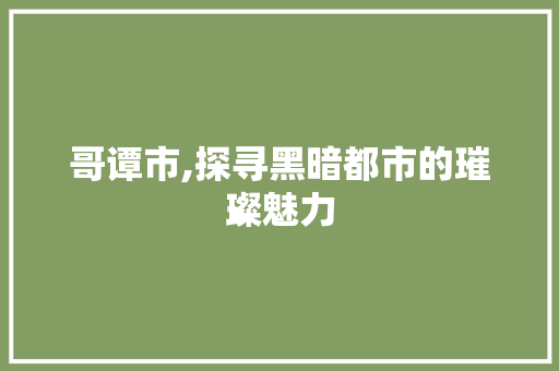 哥谭市,探寻黑暗都市的璀璨魅力