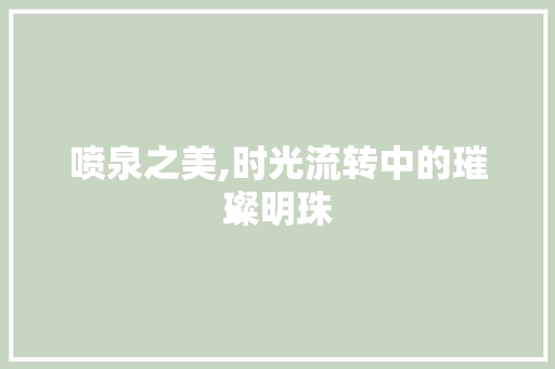 喷泉之美,时光流转中的璀璨明珠