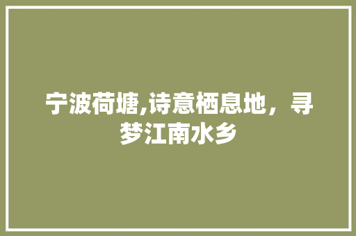 宁波荷塘,诗意栖息地，寻梦江南水乡