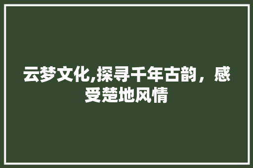云梦文化,探寻千年古韵，感受楚地风情  第1张