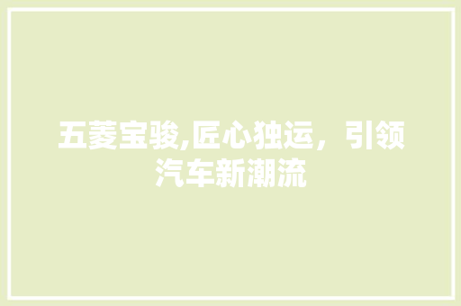 五菱宝骏,匠心独运，引领汽车新潮流