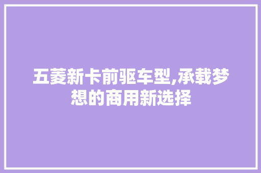 五菱新卡前驱车型,承载梦想的商用新选择  第1张
