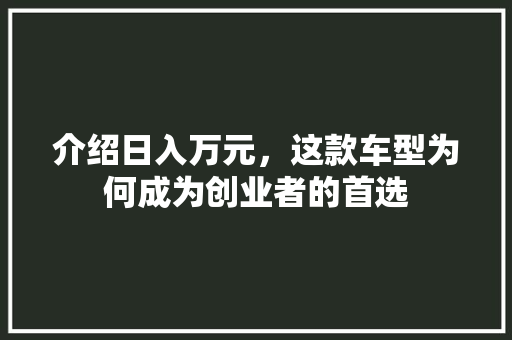 介绍日入万元，这款车型为何成为创业者的首选