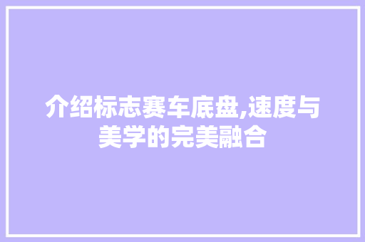 介绍标志赛车底盘,速度与美学的完美融合
