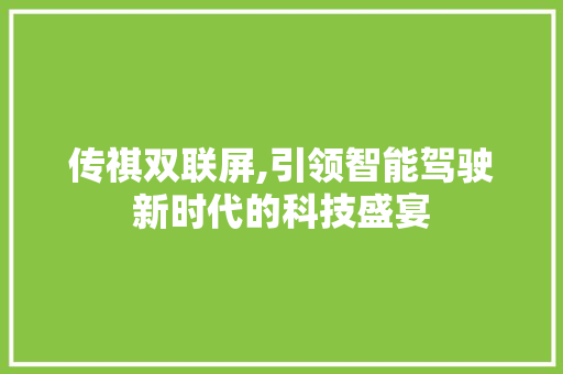 传祺双联屏,引领智能驾驶新时代的科技盛宴