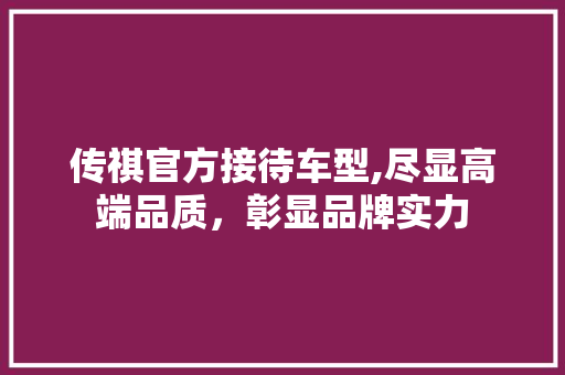 传祺官方接待车型,尽显高端品质，彰显品牌实力