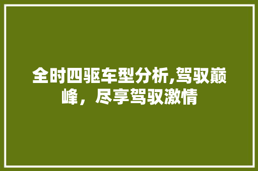 全时四驱车型分析,驾驭巅峰，尽享驾驭激情