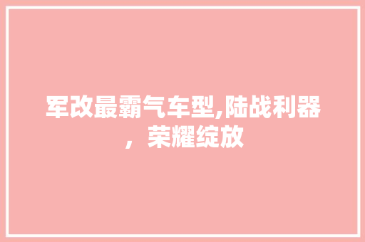 军改最霸气车型,陆战利器，荣耀绽放