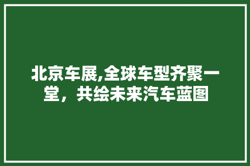 北京车展,全球车型齐聚一堂，共绘未来汽车蓝图