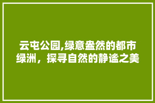 云屯公园,绿意盎然的都市绿洲，探寻自然的静谧之美