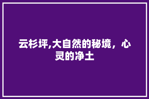 云杉坪,大自然的秘境，心灵的净土