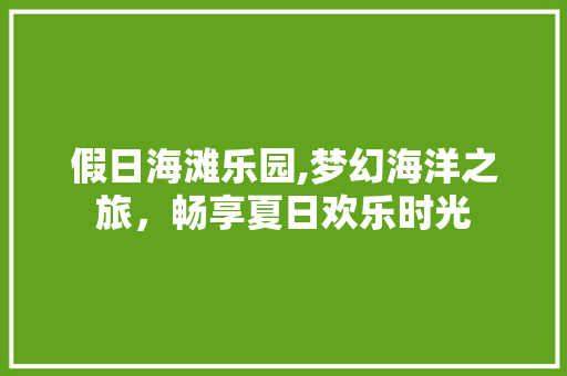 假日海滩乐园,梦幻海洋之旅，畅享夏日欢乐时光