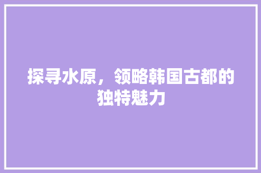 探寻水原，领略韩国古都的独特魅力