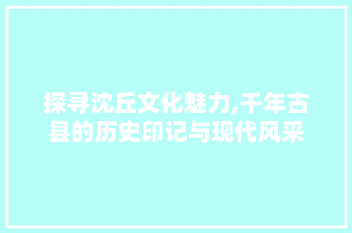 探寻沈丘文化魅力,千年古县的历史印记与现代风采