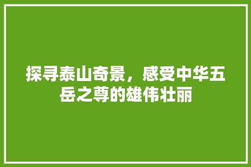 探寻泰山奇景，感受中华五岳之尊的雄伟壮丽