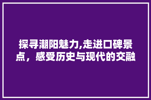探寻潮阳魅力,走进口碑景点，感受历史与现代的交融