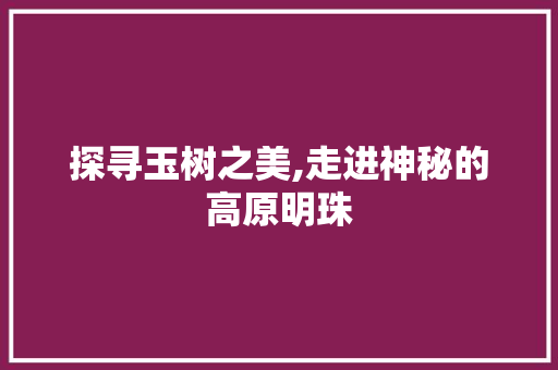 探寻玉树之美,走进神秘的高原明珠