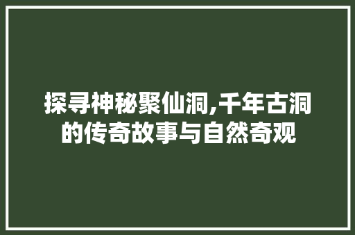 探寻神秘聚仙洞,千年古洞的传奇故事与自然奇观
