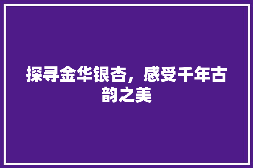 探寻金华银杏，感受千年古韵之美