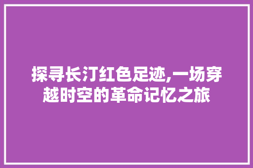 探寻长汀红色足迹,一场穿越时空的革命记忆之旅