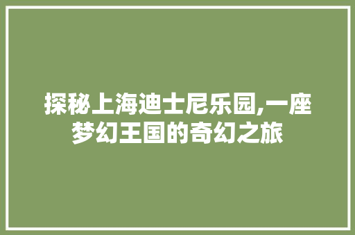 探秘上海迪士尼乐园,一座梦幻王国的奇幻之旅