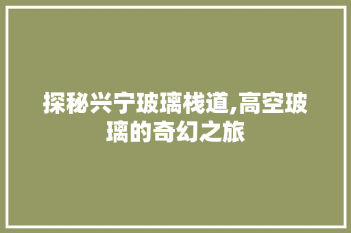 探秘兴宁玻璃栈道,高空玻璃的奇幻之旅