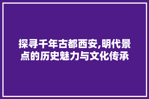 探寻千年古都西安,明代景点的历史魅力与文化传承