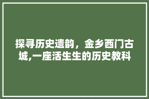 探寻历史遗韵，金乡西门古城,一座活生生的历史教科书