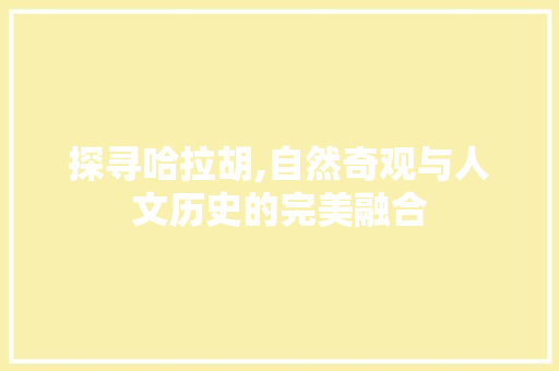 探寻哈拉胡,自然奇观与人文历史的完美融合