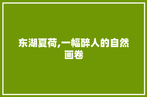 东湖夏荷,一幅醉人的自然画卷  第1张