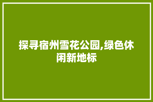 探寻宿州雪花公园,绿色休闲新地标