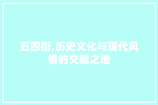 五四街,历史文化与现代风情的交融之地  第1张