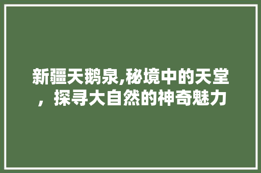 新疆天鹅泉,秘境中的天堂，探寻大自然的神奇魅力