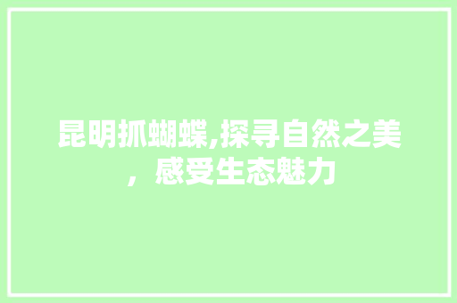 昆明抓蝴蝶,探寻自然之美，感受生态魅力