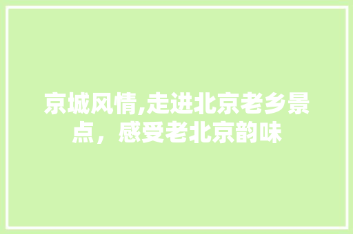 京城风情,走进北京老乡景点，感受老北京韵味