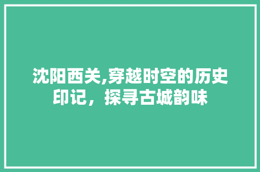 沈阳西关,穿越时空的历史印记，探寻古城韵味