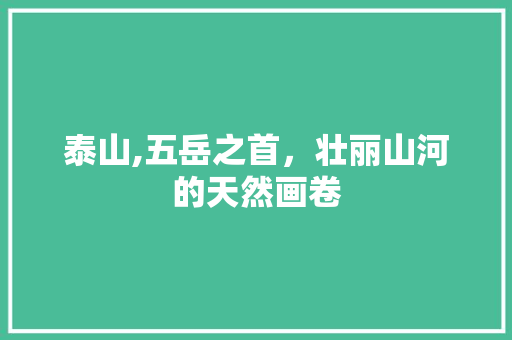 泰山,五岳之首，壮丽山河的天然画卷