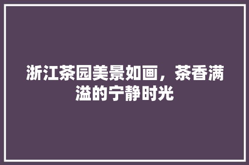 浙江茶园美景如画，茶香满溢的宁静时光