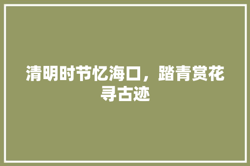 清明时节忆海口，踏青赏花寻古迹