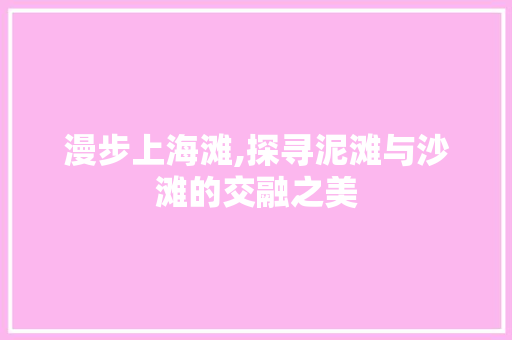 漫步上海滩,探寻泥滩与沙滩的交融之美