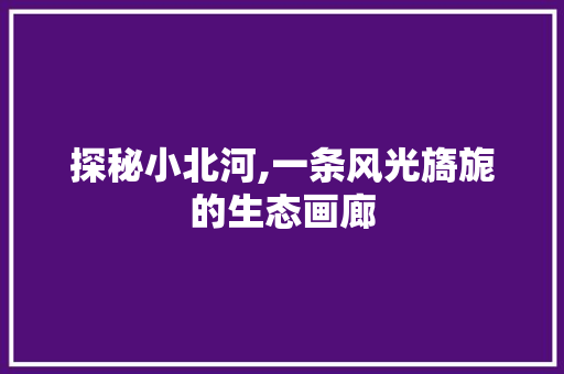 探秘小北河,一条风光旖旎的生态画廊