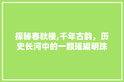 探秘春秋楼,千年古韵，历史长河中的一颗璀璨明珠