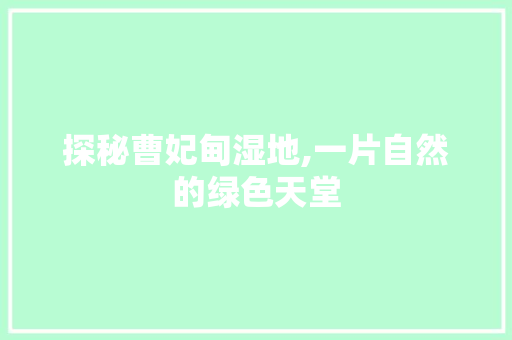 探秘曹妃甸湿地,一片自然的绿色天堂