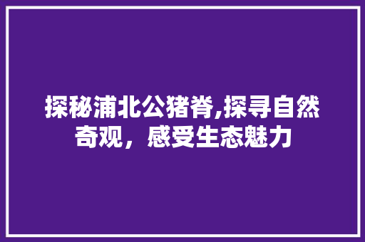 探秘浦北公猪脊,探寻自然奇观，感受生态魅力